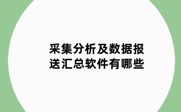 采集分析及数据报送汇总软件有哪些
