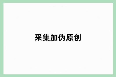 采集加伪原创