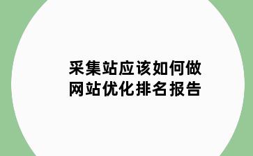 采集站应该如何做网站优化排名报告
