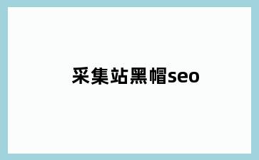 采集站黑帽seo