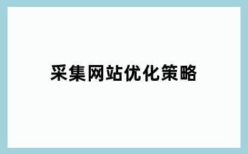 采集网站优化策略