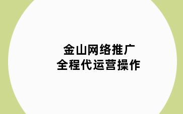 金山网络推广全程代运营操作