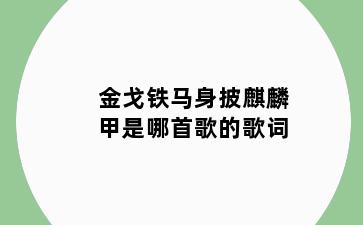 金戈铁马身披麒麟甲是哪首歌的歌词