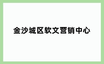 金沙城区软文营销中心