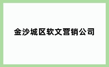 金沙城区软文营销公司