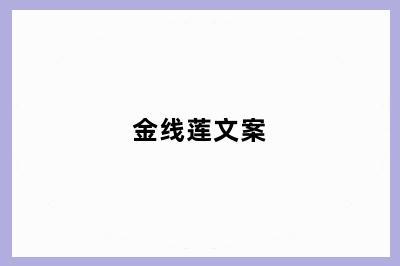金线莲文案