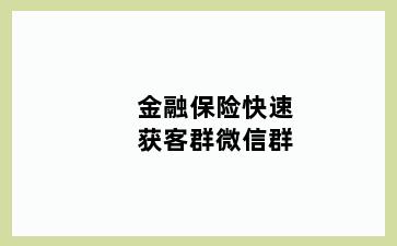 金融保险快速获客群微信群