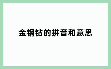 金钢钻的拼音和意思