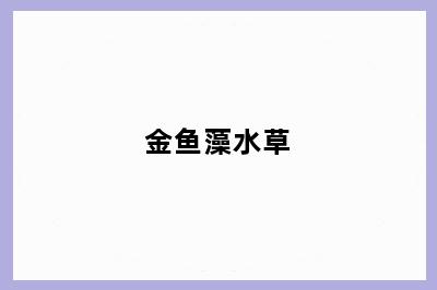 金鱼藻水草