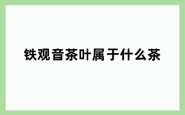 铁观音茶叶属于什么茶