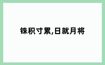 铢积寸累,日就月将