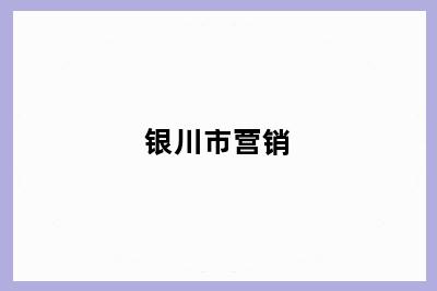 银川市营销