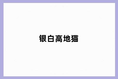银白高地猫