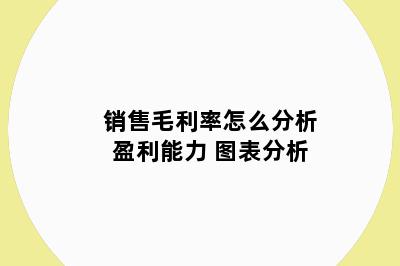 销售毛利率怎么分析盈利能力 图表分析