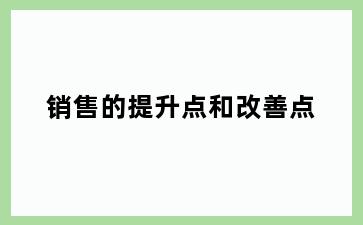 销售的提升点和改善点