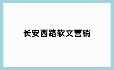 长安西路软文营销
