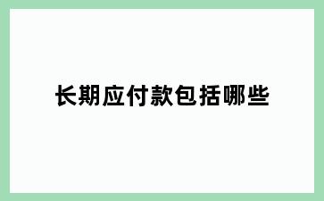 长期应付款包括哪些