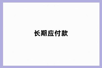 长期应付款