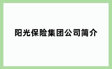 阳光保险集团公司简介