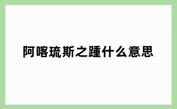 阿喀琉斯之踵什么意思