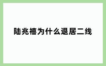 陆兆禧为什么退居二线
