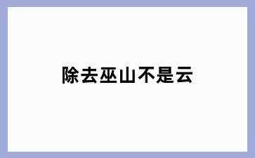 除去巫山不是云