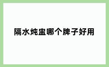 隔水炖盅哪个牌子好用
