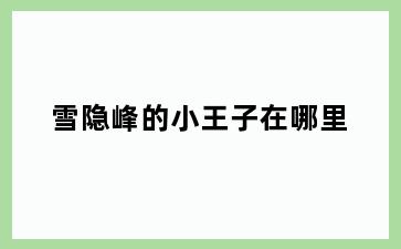 雪隐峰的小王子在哪里