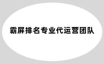 霸屏排名专业代运营团队
