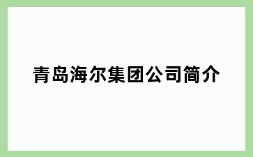青岛海尔集团公司简介
