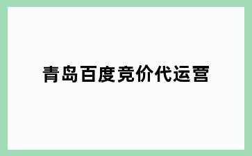 花园街道百度竞价代运营