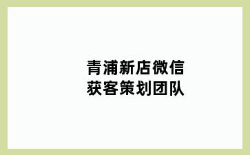 青浦新店微信获客策划团队