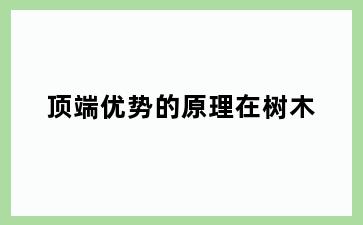 顶端优势的原理在树木