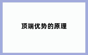 顶端优势的原理