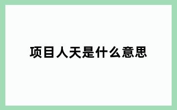 项目人天是什么意思