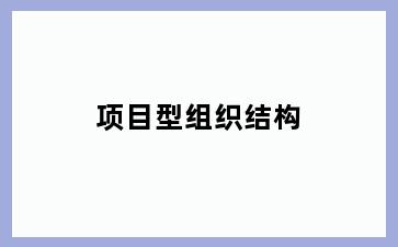 项目型组织结构
