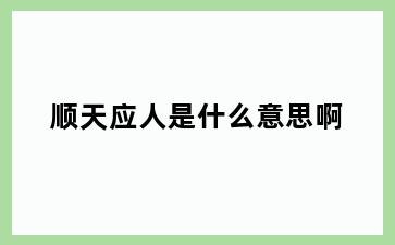 顺天应人是什么意思啊