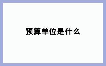 预算单位是什么