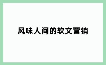 风味人间的软文营销