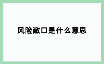 风险敞口是什么意思