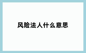 风险法人什么意思