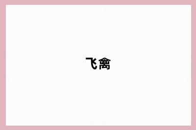 飞禽