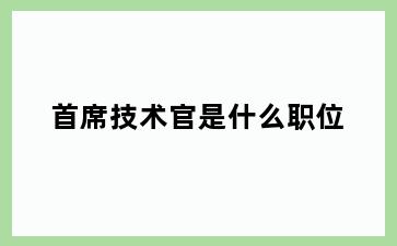 首席技术官是什么职位