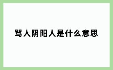 骂人阴阳人是什么意思