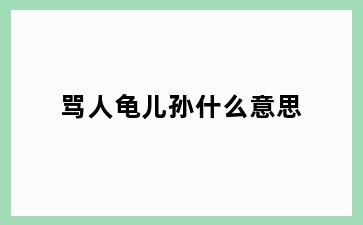 骂人龟儿孙什么意思