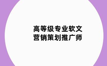 高等级专业软文营销策划推广师