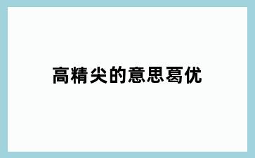 高精尖的意思葛优
