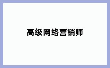 高级网络营销师