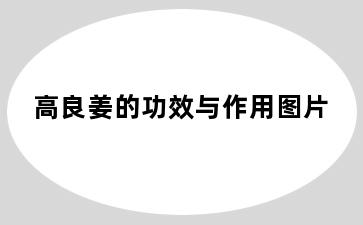 高良姜的功效与作用图片