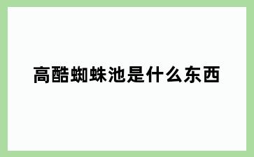高酷蜘蛛池是什么东西